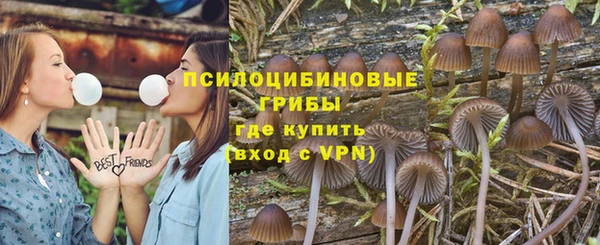 МДПВ Алексин