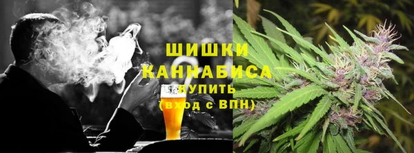 ГАЛЛЮЦИНОГЕННЫЕ ГРИБЫ Алзамай
