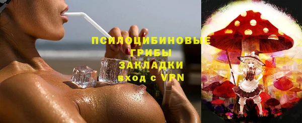 ГАЛЛЮЦИНОГЕННЫЕ ГРИБЫ Алзамай