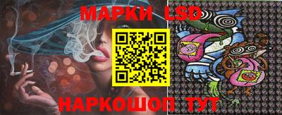 индика Новозыбков