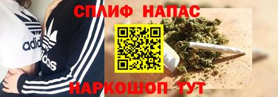 PSILOCYBIN Новокубанск