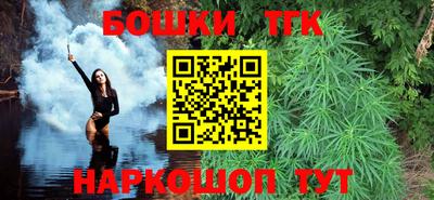 индика Новозыбков