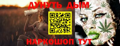индика Новозыбков