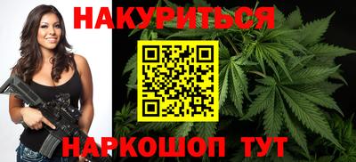 индика Новозыбков