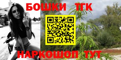 индика Новозыбков