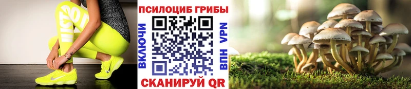 Псилоцибиновые грибы Psilocybe купить наркотик Туймазы