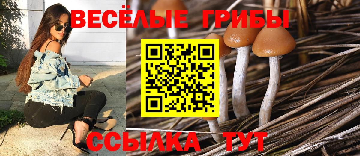 Псилоцибиновые грибы ЛСД Туймазы