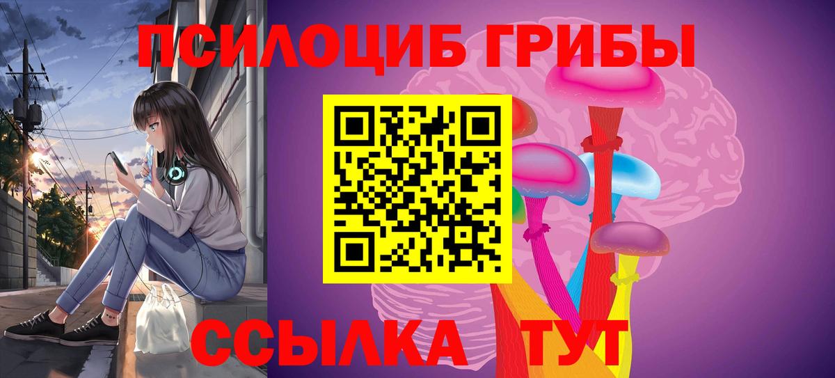 Галлюциногенные грибы прущие грибы  Вход с VPN  Туймазы 